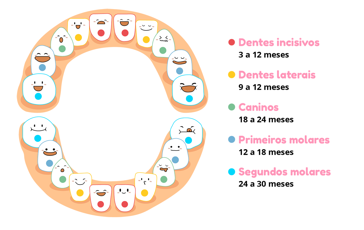 Os Primeiros Dentes Do Bebe Tudo O Que Voce Precisa Saber
